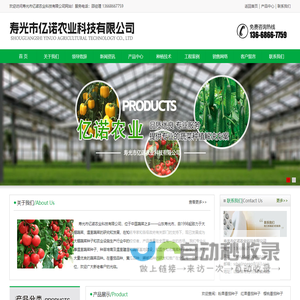 番茄种子|抗TY西红柿种子|辣椒种子|西葫芦种子|黄瓜种子|嫁接黄瓜苗|嫁接西红柿苗|嫁接茄子苗|寿光市亿诺农业科技有限公司